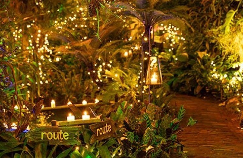 Dezemberspektakel in Pantropica